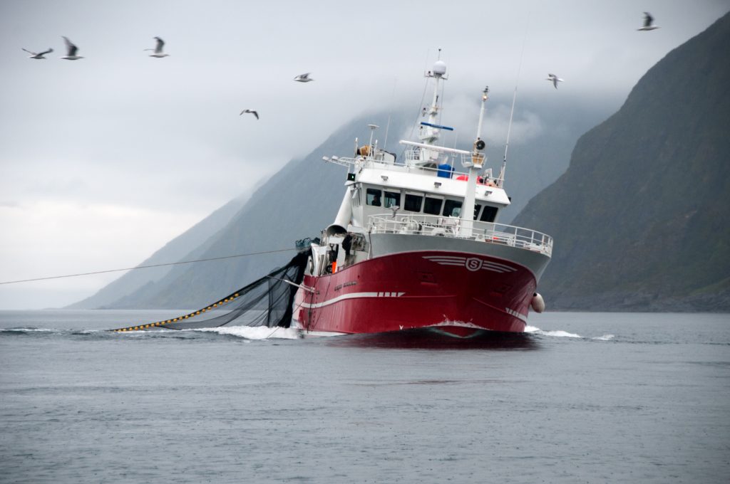 Exporting seafood from Norway to the UK